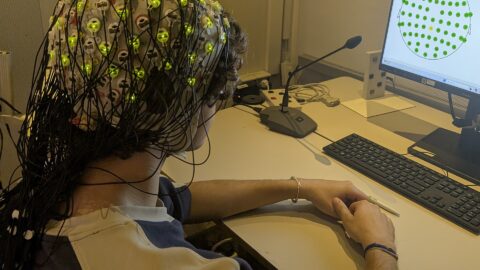 An EEG recording session. Image: Wikimedia Commons (File:EEG Experiment (cropped).jpg), CC0.