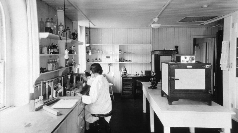 Immunology laboratory at Central Cancer Research Labs