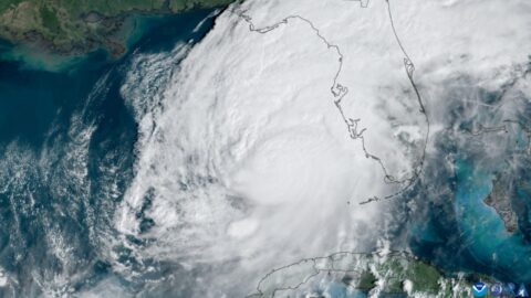 Satellite view of a large hurricane swirling over the Gulf of Mexico near Florida (file image)