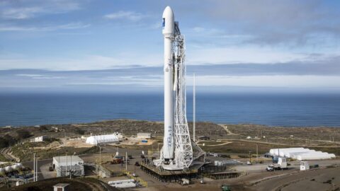 t2-falcon
